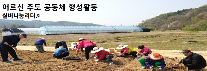 로고2.PNG