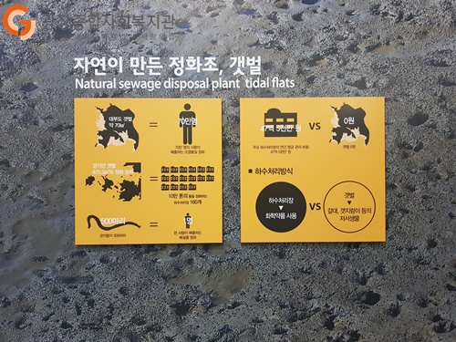 갯벌의 역할.jpg