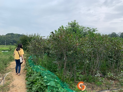 KakaoTalk_20190905_162024122_11.jpg