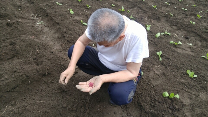 KakaoTalk_20160901_162117191.jpg