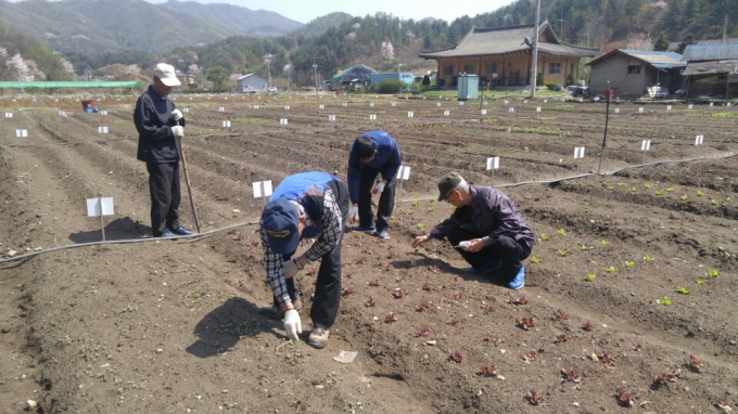 KakaoTalk_20160418_113657146.jpg