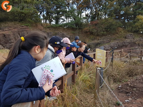 20181027_135344.jpg