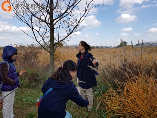 20181027_105222.jpg
