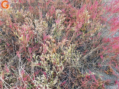 20181027_134216.jpg