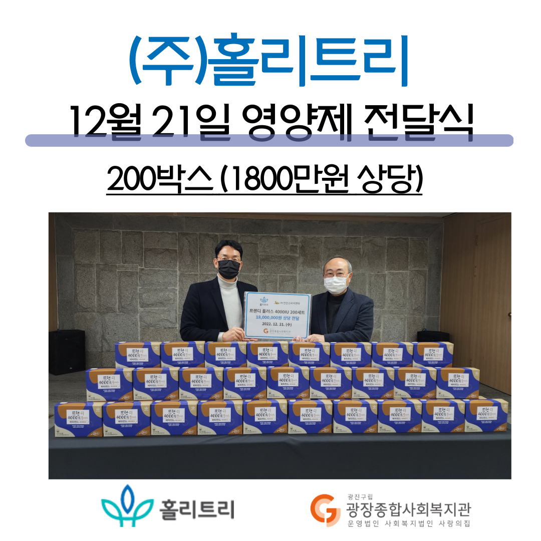 홀리트리.png