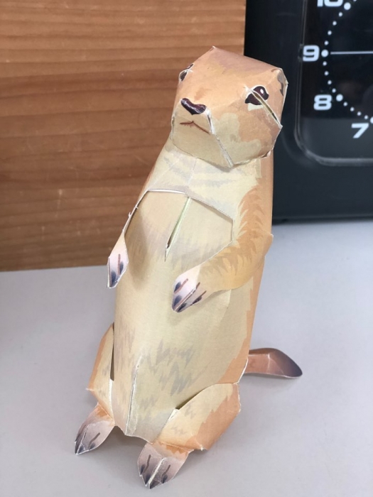 KakaoTalk_20190328_145836256.jpg